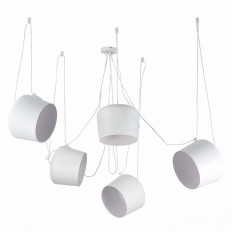   Evoluce Trieste SLE120653-05