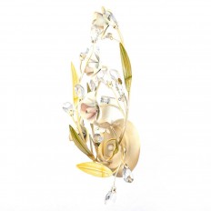  Abrasax Suzanne SB0923/1