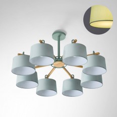     EVEN 8 Olive 178372-26