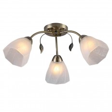   Rivoli Olivia 9088-303 0052692