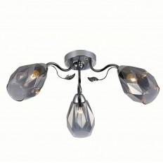   Rivoli Hillary 9103-303 0053407