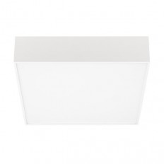    Arlight SP-Quadro-S250x250-25W Day4000 034785