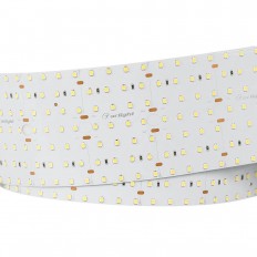   Arlight 40W/m 560LED/m 2835SMD   2,5M 023409