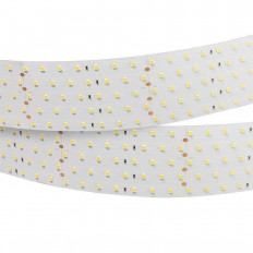   Arlight 36W/m 350LED/m 2835SMD   2,5M 025162(1)