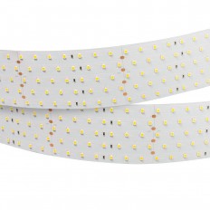   Arlight 36W/m 350LED/m 2835SMD   2,5M 019083(1)