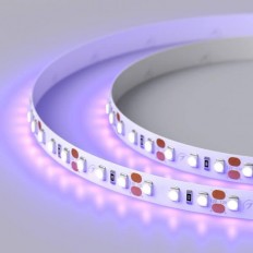   Arlight 9,6W/m 120LED/m 2835SMD  5M 012812(2)