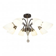   Seven Fires Tasita 66613.01.15.08