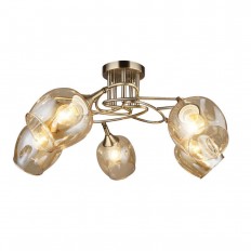   Seven Fires  66244.01.05.05