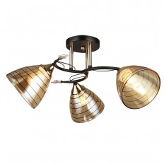   Seven Fires  66367.01.69.03