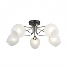   Seven Fires  66558.01.37.05