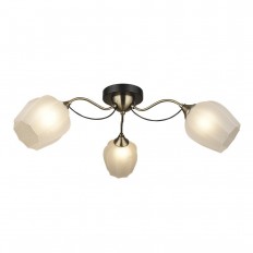   Seven Fires Bardi 66658.01.37.03