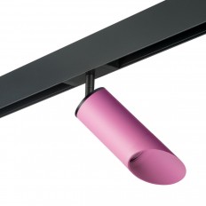   Lightstar Rullo (214432+595057+201432) PRO43232