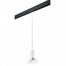   Lightstar Rullo (214436+595857+202436) PRORP436436