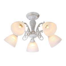   Schaffner Camila 74426-5