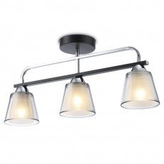   Ambrella Light TR303235