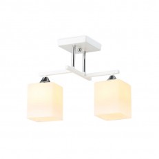  Ambrella Light TR303111