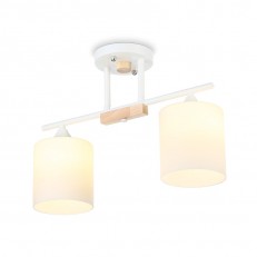   Ambrella Light TR9541