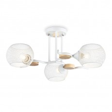   Ambrella Light TR80163