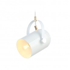   Ambrella Light TR8205