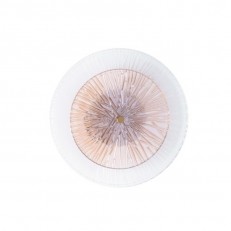  ARTE Lamp A1259AP-1PB