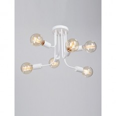    Vitaluce V4960-0/6PL