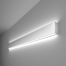  Elektrostandard LSG-02-2-8*103-32-6500-MS