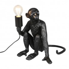    APLOYT APL.309.24.01