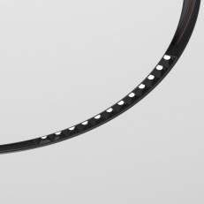    Elektrostandard 85184/01