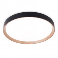   Ambrella Light FZ1326