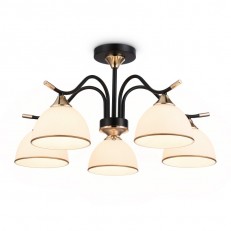    Ambrella Light TR3162
