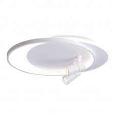  Ambrella Light FL51391
