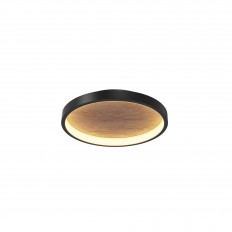   Maytoni MOD311CL-L27B3K