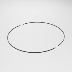 Elektrostandard 85217/00 ()