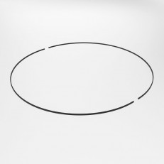 Elektrostandard 85218/00 ()