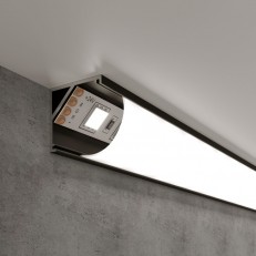 Elektrostandard LL-2-ALP008    /