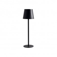   ARTE Lamp A1614LT-1BK