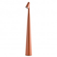   ARTE Lamp A3283LT-2BR