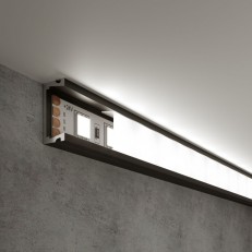 Elektrostandard LL-2-ALP006    /