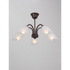    Vitaluce V3335-7/5PL