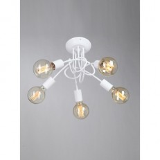    Vitaluce V3727-0/5PL