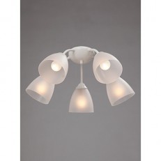   Vitaluce V3737-0/5PL