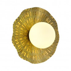 Evoluce SLE1196-301-01