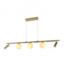   iLedex C4774-100 SGD