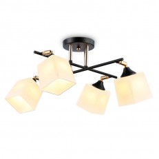    Ambrella Light TR303084