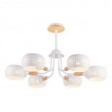    Ambrella Light TR80166