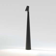   Elektrostandard Elite  (TL70250)