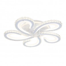   Ambrella Light FA1703