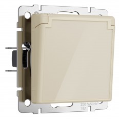 W1171243/  .  .  .    ( ) W1171243