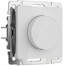 W1142041/  ( ) W1142041