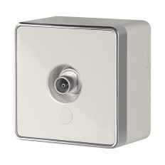 W5083003/ -  Gallant ( ) W5083003